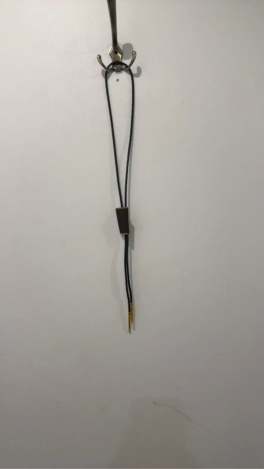 Kenneth Reid vintage 1970s-style bolo tie with a black braided cord, dark wood and gold metal pendant, and gold tips, dating from 2004.