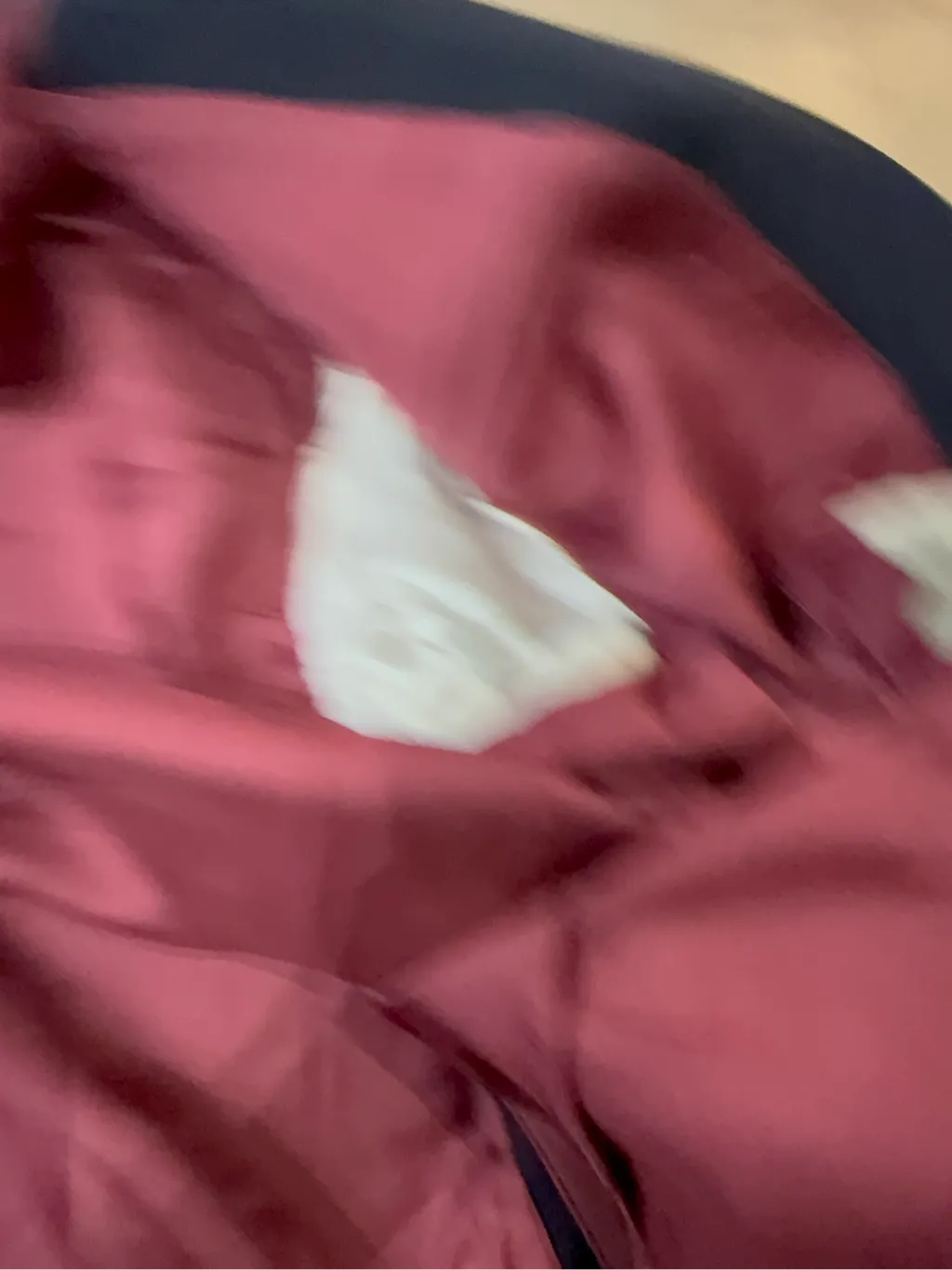 Blazer double-breasted marine avec doublure bordeaux, de la marque Ermenegildo Zegna pour Ebbinghaus Köln. 6