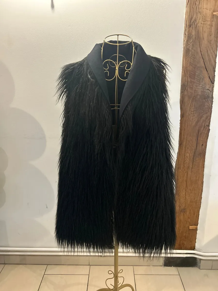 Veste fausse fourrure sans manche un peu longue porté très peu de fois 2