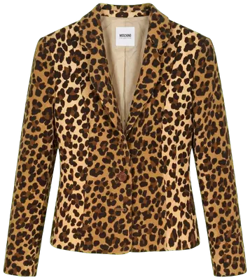 Short leopard jacket. Livens up jeans and a T-shirt.