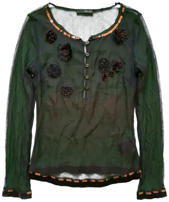 Embroidered silk blouse adorned with beads