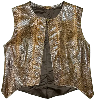 Gilet sans manches pour femme en python peau de serpent cuir et un dos marron uni en tissu texturé.