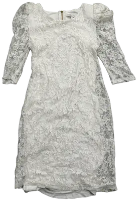 Sandro Lace Dress